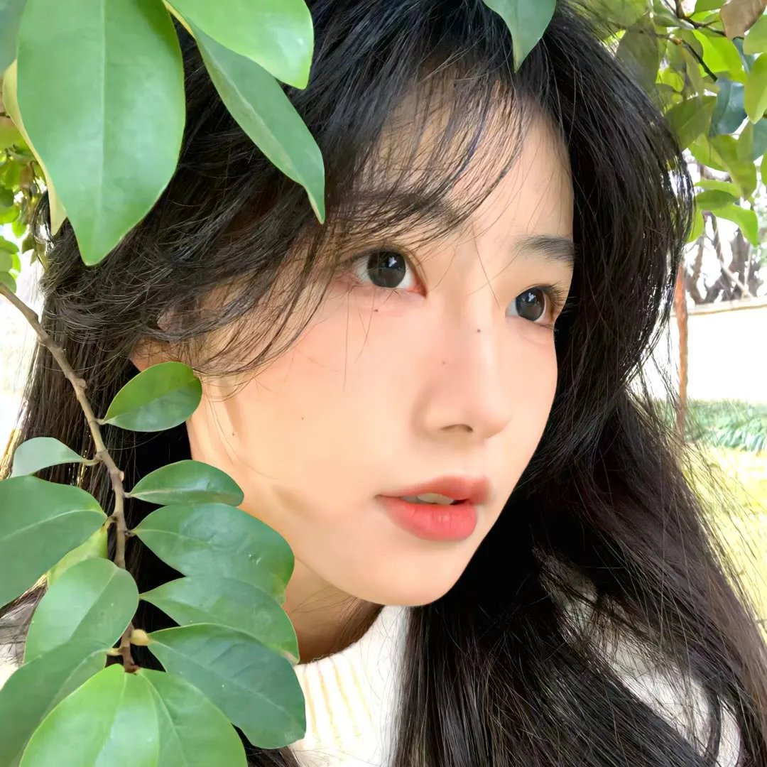 电视拍手者 海报