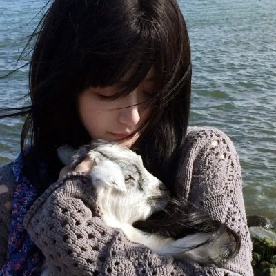 小鱼儿与花无缺 海报